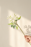 14.2" Petite Faux Berry Stems | 6 Colors White | Artificial Greenery | Eco Perennial