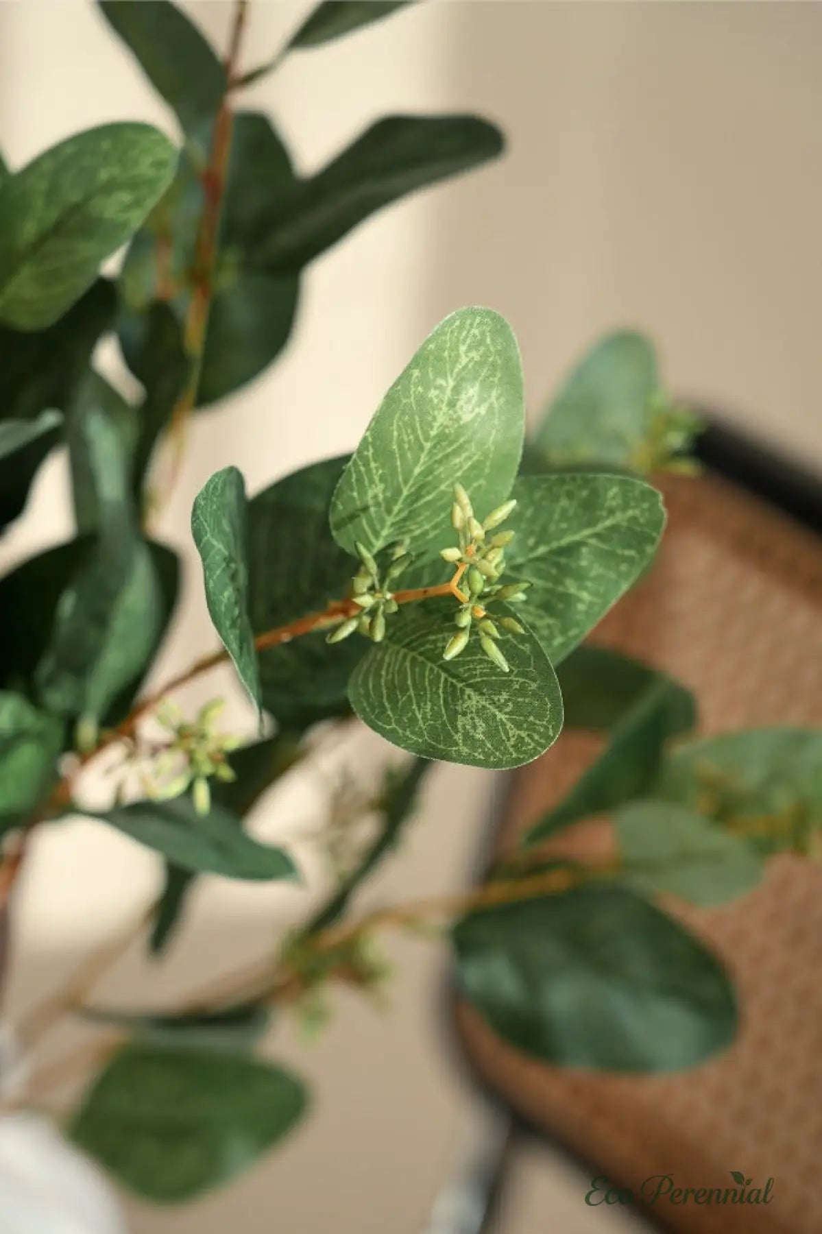 33" Realistic Seeded Silver Dollar Eucalyptus Stem | Eco Perennial | Realistic Faux Silk Flowers for Home Decor - Eco Perennial