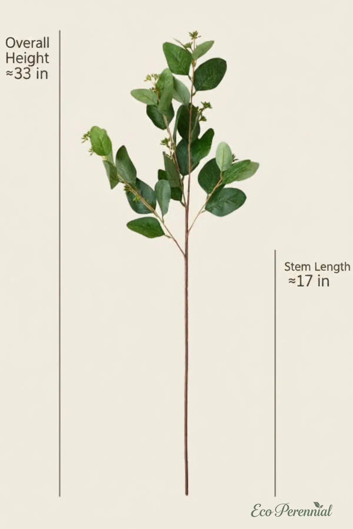 33" Realistic Seeded Silver Dollar Eucalyptus Stem | Eco Perennial | Realistic Faux Silk Flowers for Home Decor - Eco Perennial