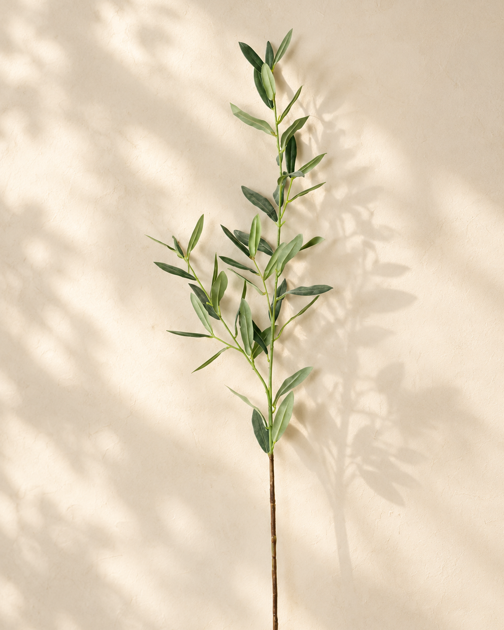 Flocked Faux Olive Branches Without Fruit | 18.5", 38" & 40" 2-Fork Long — 38" | Artificial Greenery | Eco Perennial