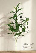 Realistic Faux Olive Branches | Seamless, Shed-Resistant Stems | 18.9" & 23.6" 4-Fork · 18.9" · 2 Olives | Artificial Greenery | Eco Perennial
