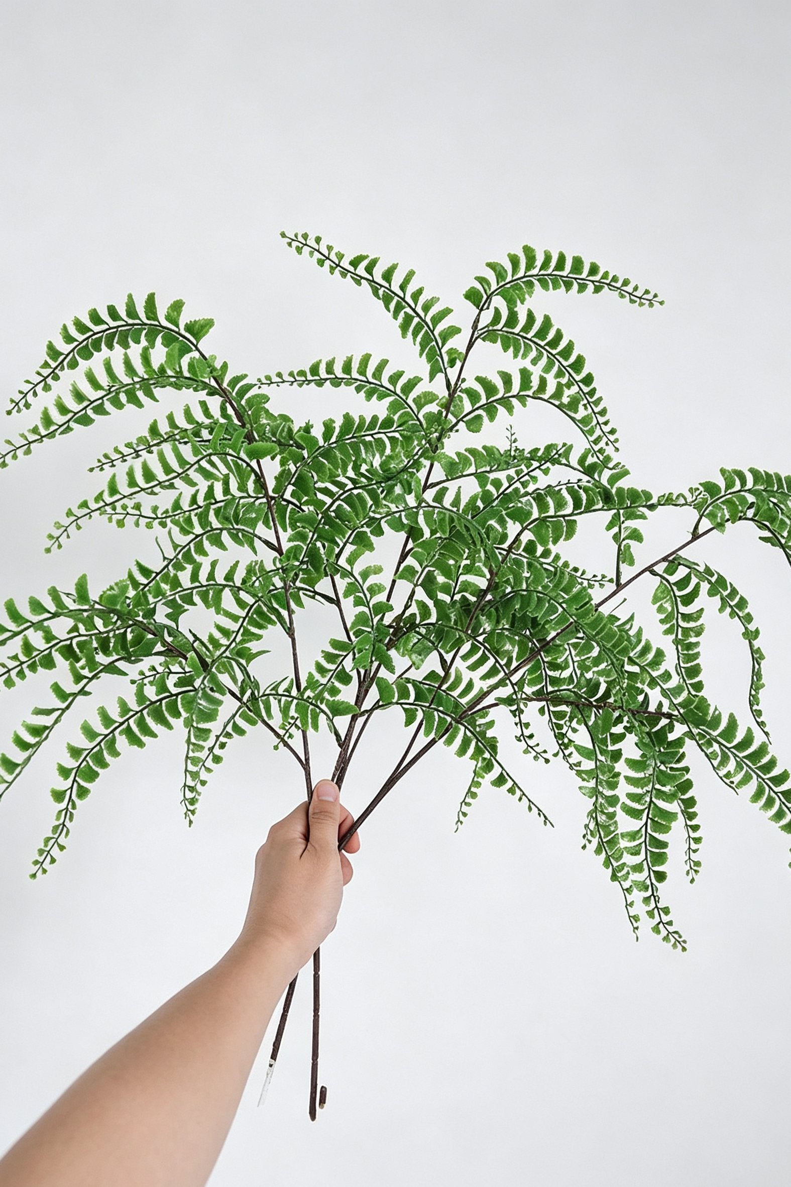 Artificial Maidenhair Fern Branch – Faux Greenery Stem | Artificial Floral Arrangement | Eco Perennial