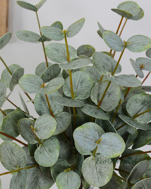 Artificial eucalyptus stem close-up on light background - Eco Perennial