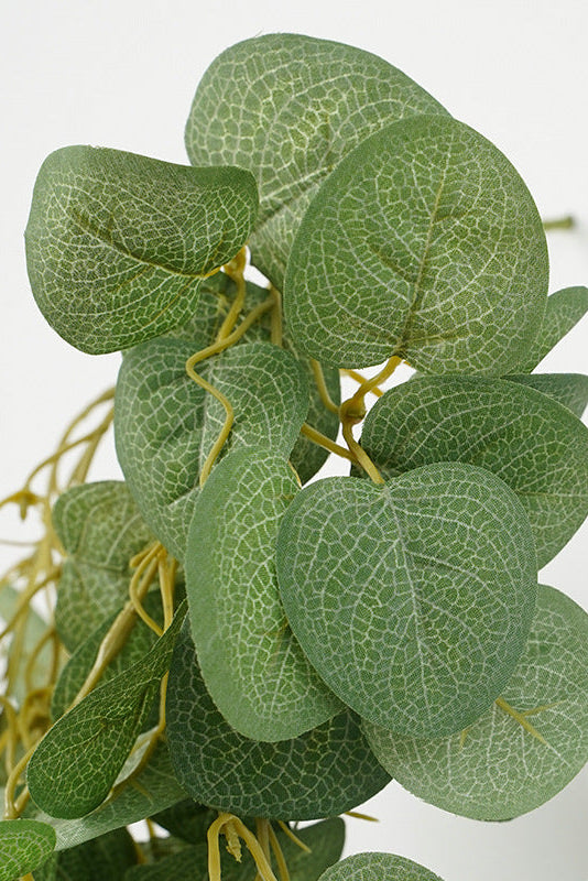 30" Trailing Coin Leaf Eucalyptus Vines | Hanging Faux Greenery Stems | Artificial Greenery | Eco Perennial