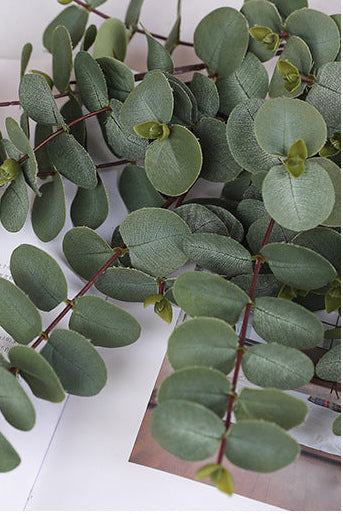 19.7" Real Touch Eucalyptus Stems | 3-Fork & 5-Fork | Artificial Greenery | Eco Perennial