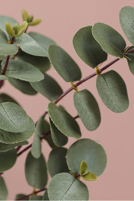 19.7" Real Touch Eucalyptus Stems | 3-Fork & 5-Fork | Artificial Greenery | Eco Perennial