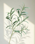 Eco Perennial 4-fork faux olive branch with delicate grey-green elongated leaves on a clean cream background, 71cm artificial olive stem product photo