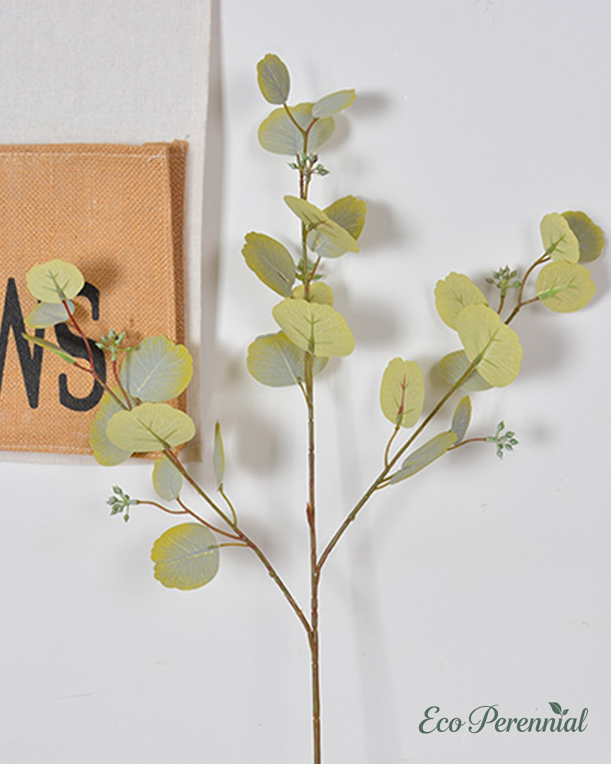 Full length view of a single faux eucalyptus branch - Eco Perennial