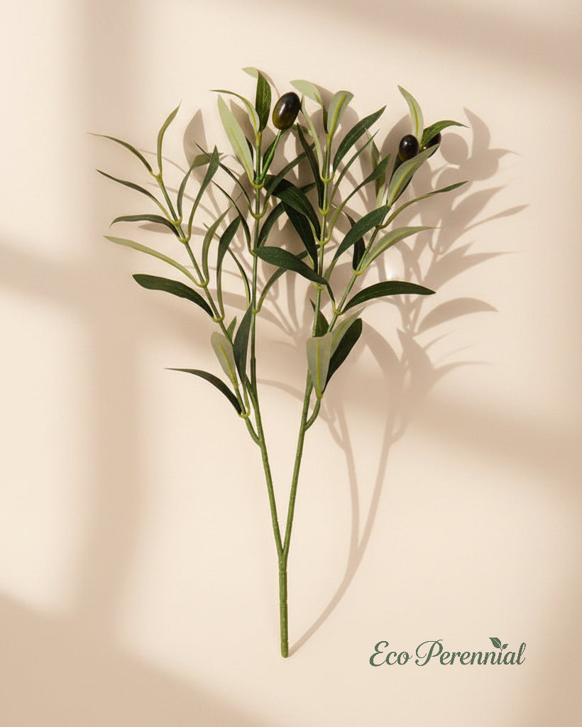 Medium olive branches against neutral ivory background by Eco Perennial