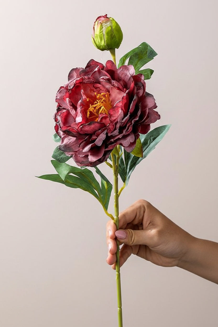 French Burnt-Edge Peony Faux Flower Stem | Realistic Silk Artificial Peony | Eco Perennial Deep Burgundy | Artificial Flower Stem | Eco Perennial