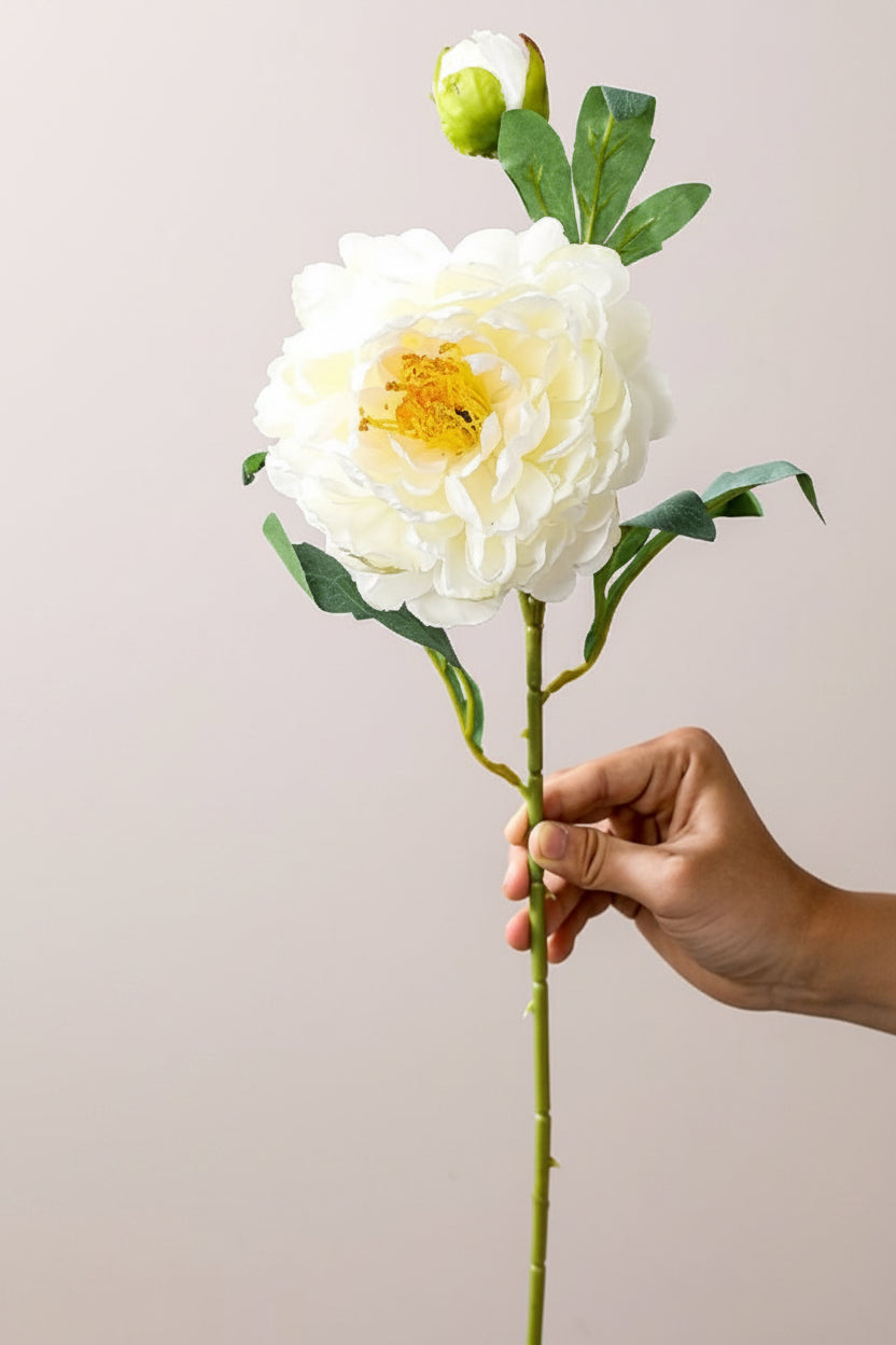 French Burnt-Edge Peony Faux Flower Stem | Realistic Silk Artificial Peony | Eco Perennial Ivory White | Artificial Flower Stem | Eco Perennial