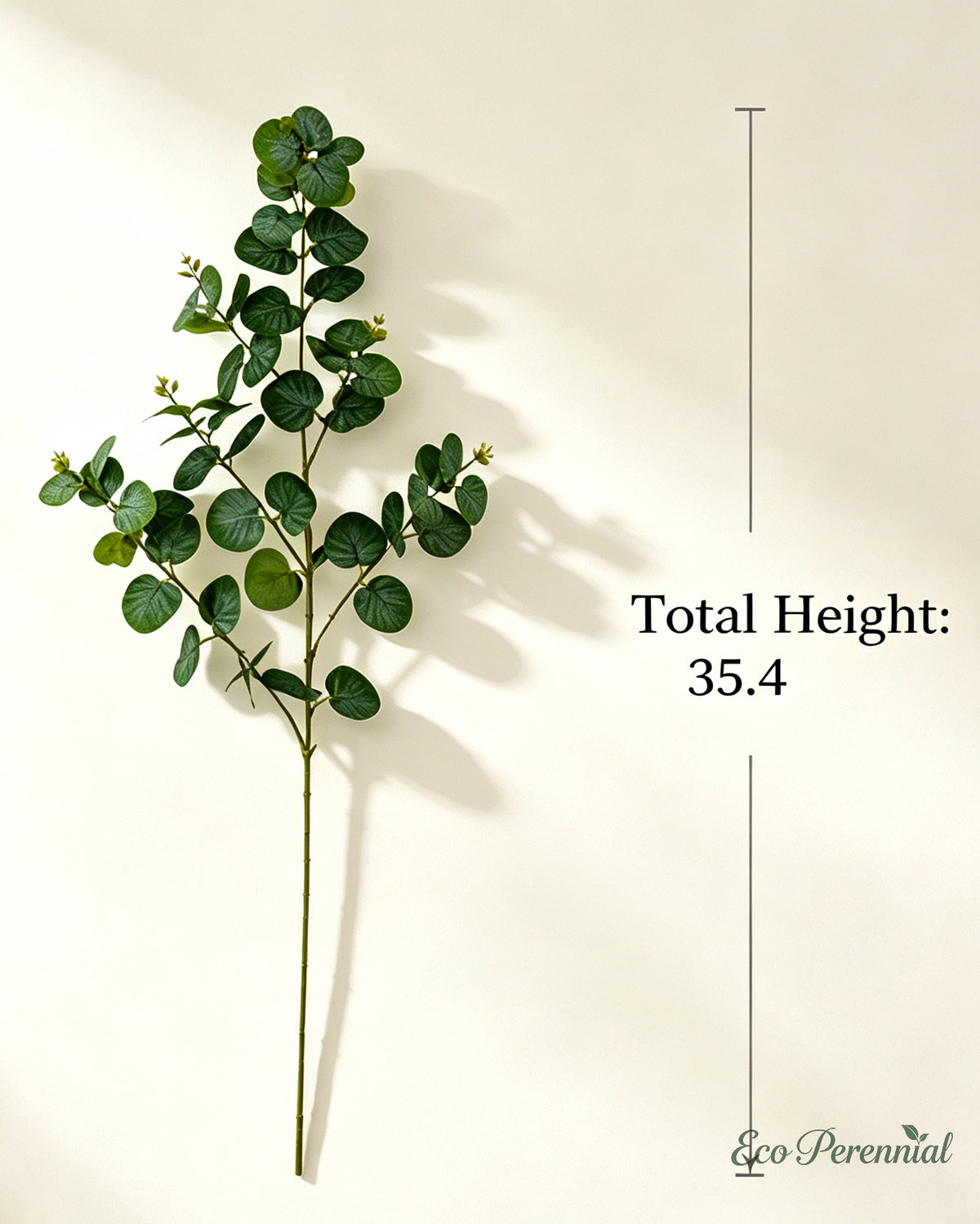 Product dimensions showing 35.4 inches total height and 15 inches stem for faux eucalyptus - Eco Perennial
