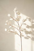 34.3" Autumn Faux Eucalyptus Branches for Fall Decor | Tall Artificial Greenery in 10 Colors Ivory White | Artificial Greenery | Eco Perennial