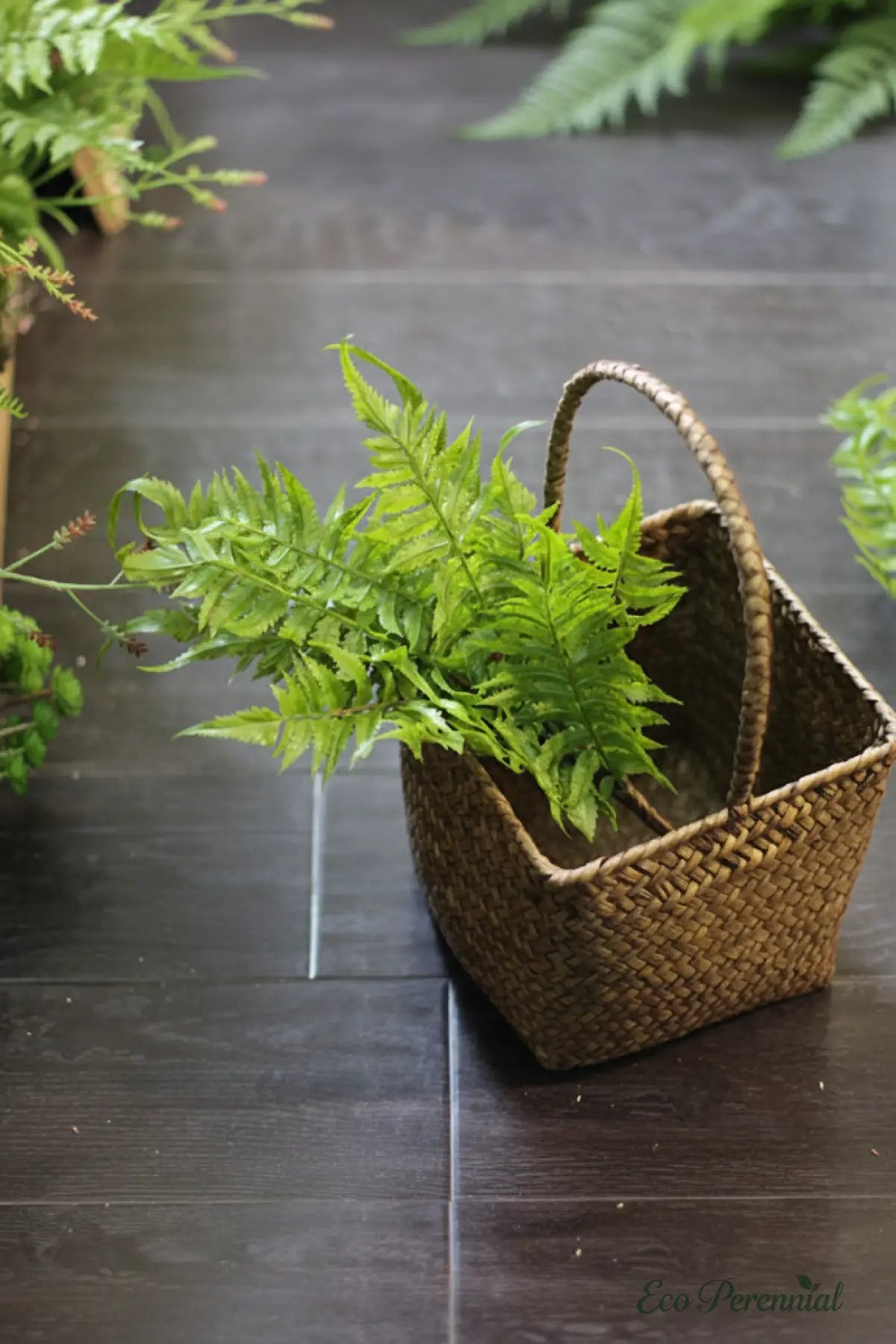 'Forest Whisper' | Realistic Persian Fern Artificial Stem - Eco Perennial