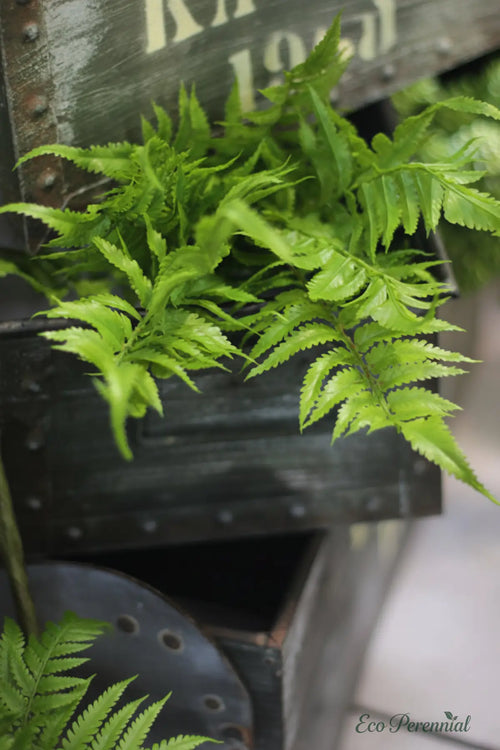 "Forest Whisper" | Realistic Persian Fern Artificial Stem | Artificial Floral Arrangement | Eco Perennial