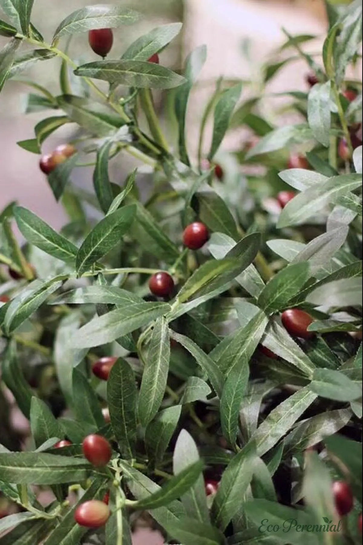 "Mediterranean Heritage" | Lifelike Faux Olive Stem | Realistic Faux Silk Flowers for Home Decor - Eco Perennial