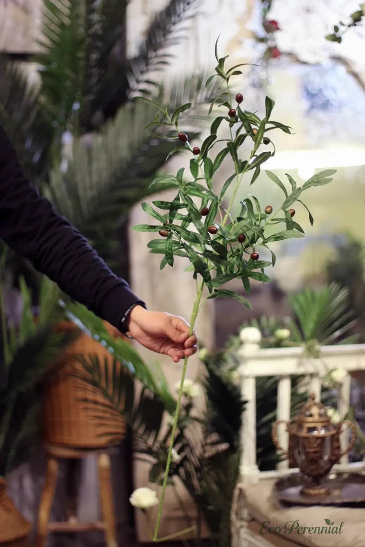 Person holding a green plant with a blurred indoor setting in the background