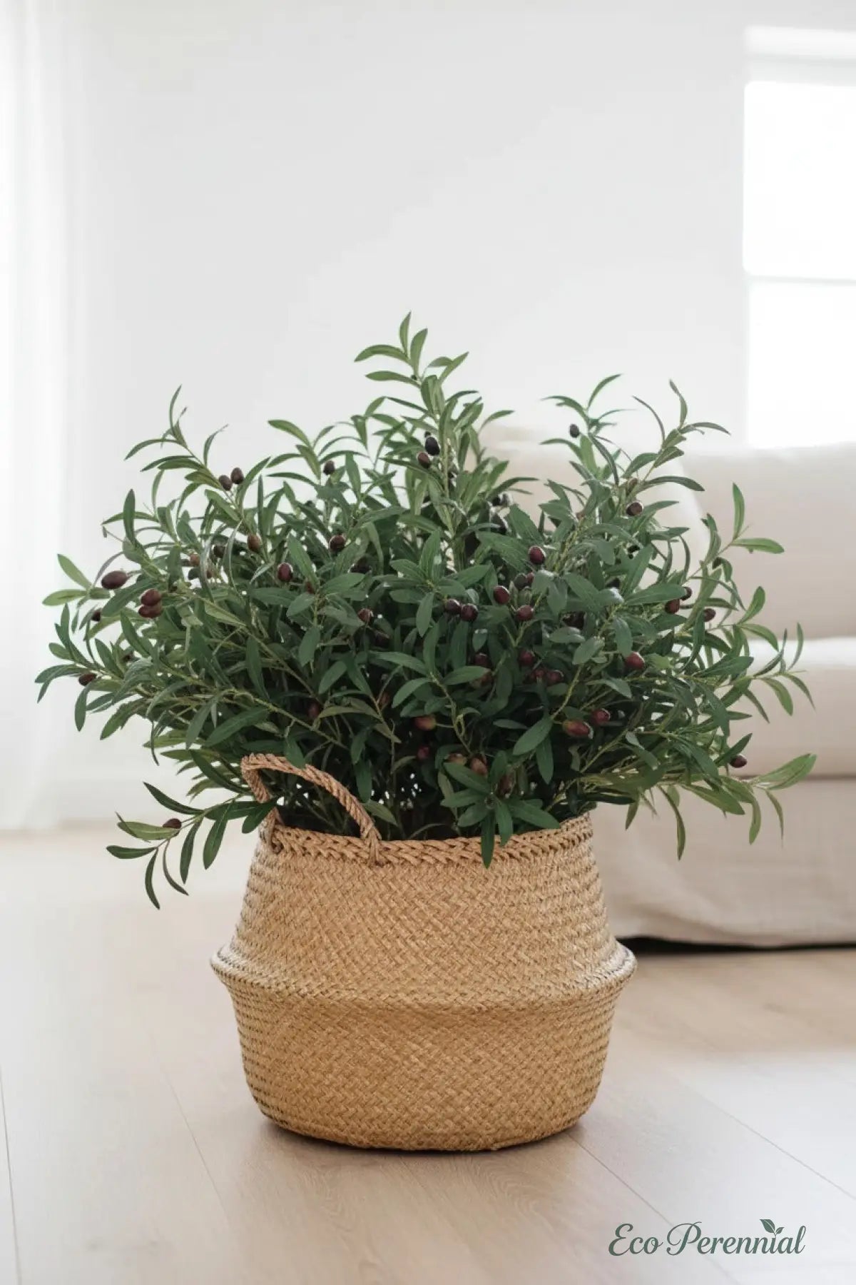 "Mediterranean Heritage" | Lifelike Faux Olive Stem | Realistic Faux Silk Flowers for Home Decor - Eco Perennial