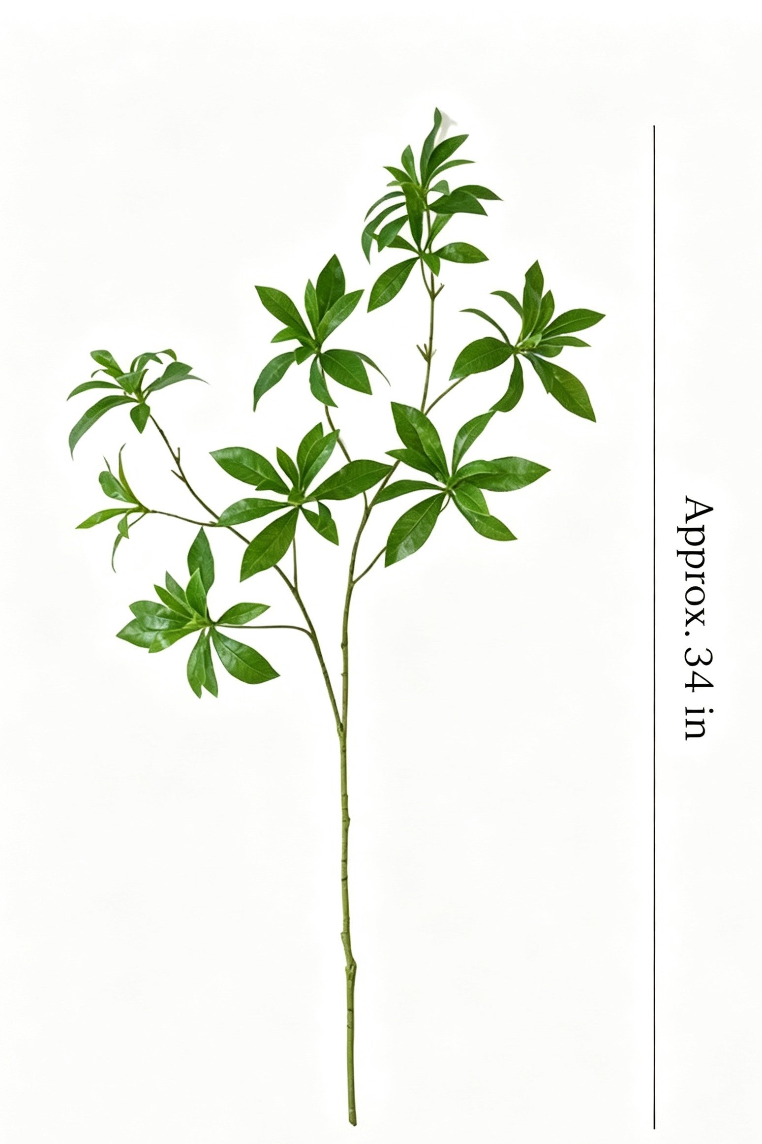 34" Realistic Faux Andromeda Branch | No-Maintenance Artificial Greenery Stem | Artificial Greenery | Eco Perennial