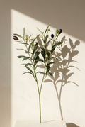 15.7"–18.5" Flowering Faux Olive Branches with White Blossoms 4-Fork — 15.7" | Artificial Greenery | Eco Perennial